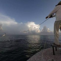 Scott Sector Fly Rods -Apparel Sales 6 51914.1660534205