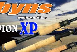 Baitcast Rods Dobyns Champion XP DC684C Baitcast Rod -Apparel Sales 8380 63290.1656985925
