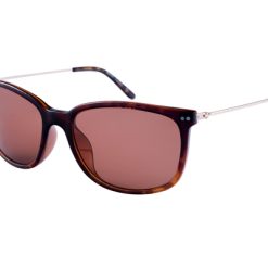 Specials Spotters Bella Tortoise Halide Polarised Sunglasses