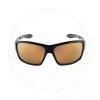 Clearance Apparel Spotters Blaze Gloss Black/Gold Leaf Polarized Sunglasses *Clearance* -Apparel Sales gold leaf 23878.1660545967.386.513